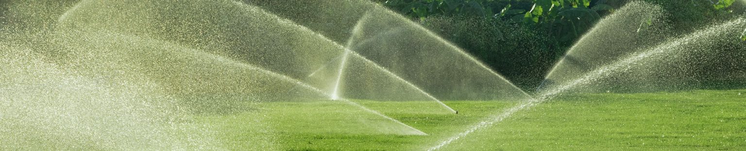 lawn being irrigated